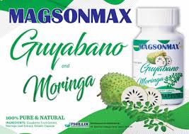 MagsonMax